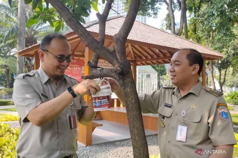 60 Persen Nyamuk di Srengseng Mengandung Wolbachia, Risiko DBD Menurun