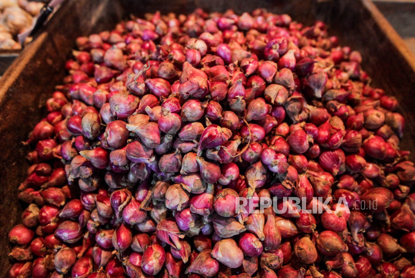 Bawang merah. Harga bawang merah di Pasar Pasar Panorama, Kota Bengkulu, Provinsi Bengkulu mencapai Rp100 ribu per kg.