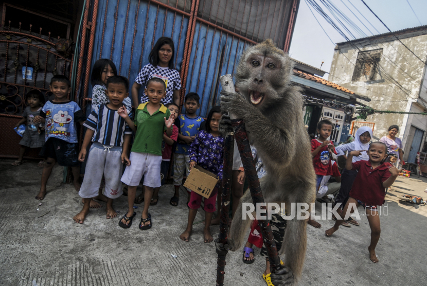 Anak-anak menonton atraksi topeng monyet di Jakarta. Pemkot Jaksel merazia topeng monyet untuk mencegah terjadinya eksploitasi hewan.