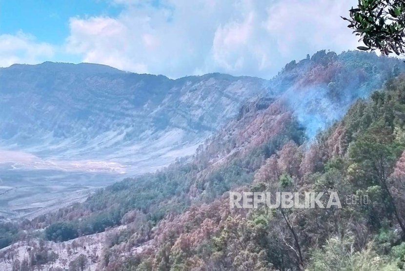 Kondisi terkini area bekas kebakaran di kawasan Gunung Bromo, Rabu (13/9/2023). 