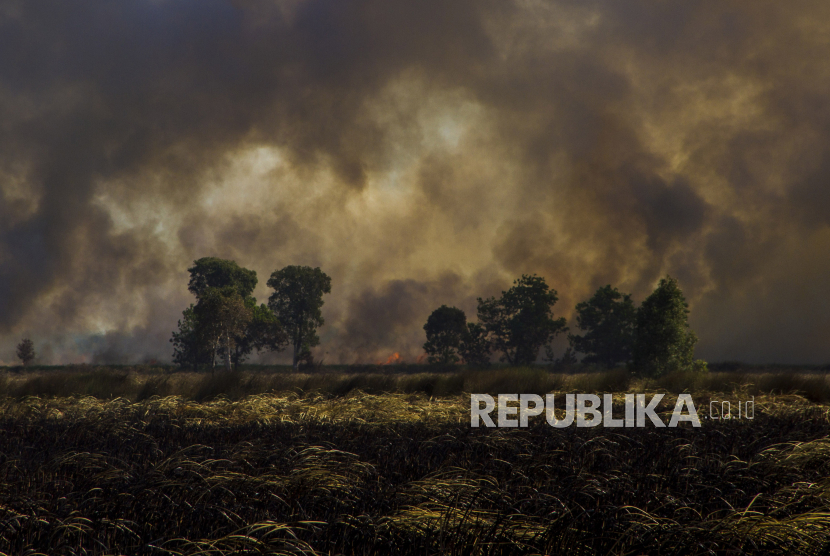 Lahan yang terbakar di Desa Ujung Batu, Kabupaten Tanah Laut, Kalimantan Selatan, pada awal Agustus 2021. Pemerintah menyebut, karhutla di Indonesia tahun ini lebih rendah dibandingkan AS dan Rusia.
