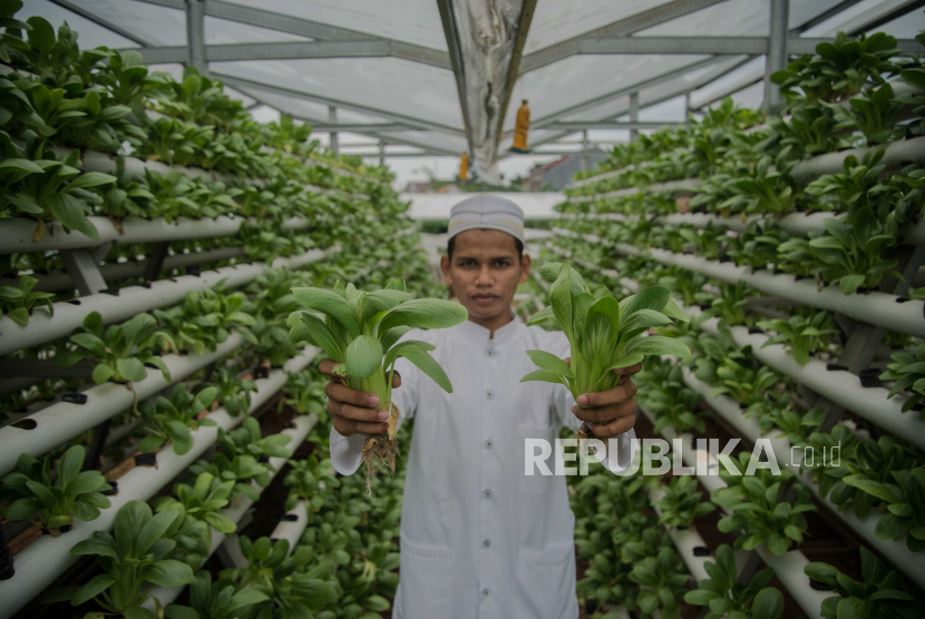 Santri Tani Milenial merupakan upaya serius Kementerian Pertanian dalam regenerasi sektor pertanian, (ilustrasi)