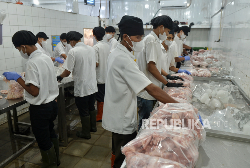 Pekerja memotong daging ayam di Rumah Potong Hewan Unggas (RPHU) Restu Jaya, Rawa Kepiting, Pulo Gadung, Jakarta Timur, Sabtu (4/5/2024).