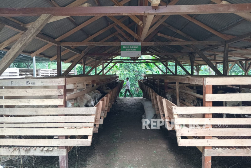 Badan Amil Zakat Nasional (Baznas) RI melaksanakan penyembelihan hewan kurban di Kampung Baros, Desa Cibuntu, Kecamatan Wanayasa, Kabupaten Purwakarta, Kamis (29/6/2023). 