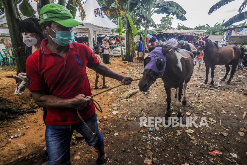 Seorang kusir membawa kuda delman untuk divaksin di kawasan Pesanggrahan, Jakarta Selatan, Kamis (4/2). 
