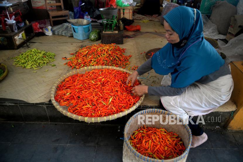 Pedagang memilah cabai rawit di Pasar Beringharjo, Yogyakarta, Jumat (17/11/2023). Ekonom mengungkapkan saat ini kondisi daya beli masih aman. 