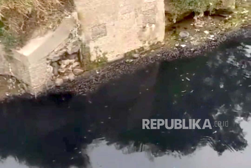 Komunitas Peduli Sungai Cileungsi Cikeas (KP2C) meninjau pencemaran di Sungai Cileungsi, Senin (11/9/2023). 