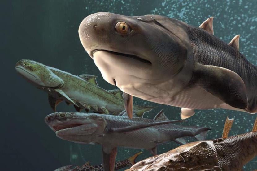 Fosil Gigi Ikan Tertua Ada di Cina | Republika Online