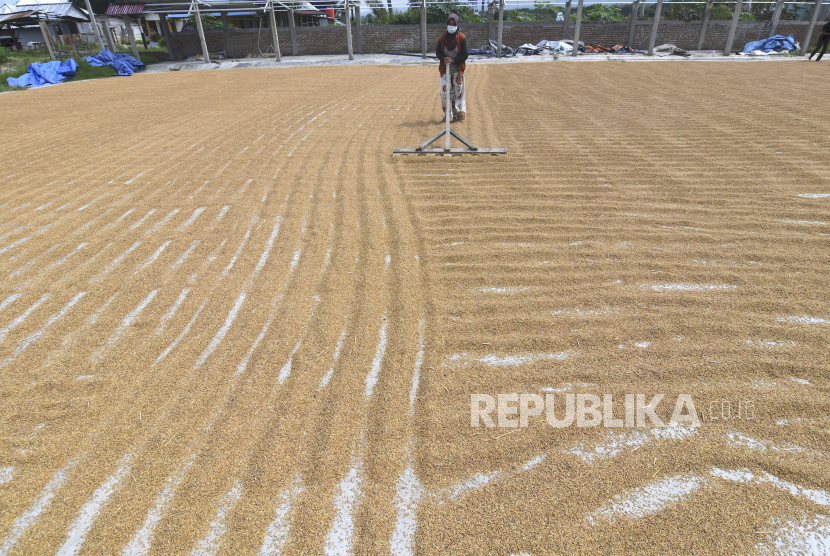 Petani menjemur padi di Desa Potoya Kabupaten Sigi, Sulawesi Tengah, Selasa (13/9/2022). Kementerian Pertanian mengajak petani untuk memanfaatkan akses Kredit Usaha Rakyat (KUR). 