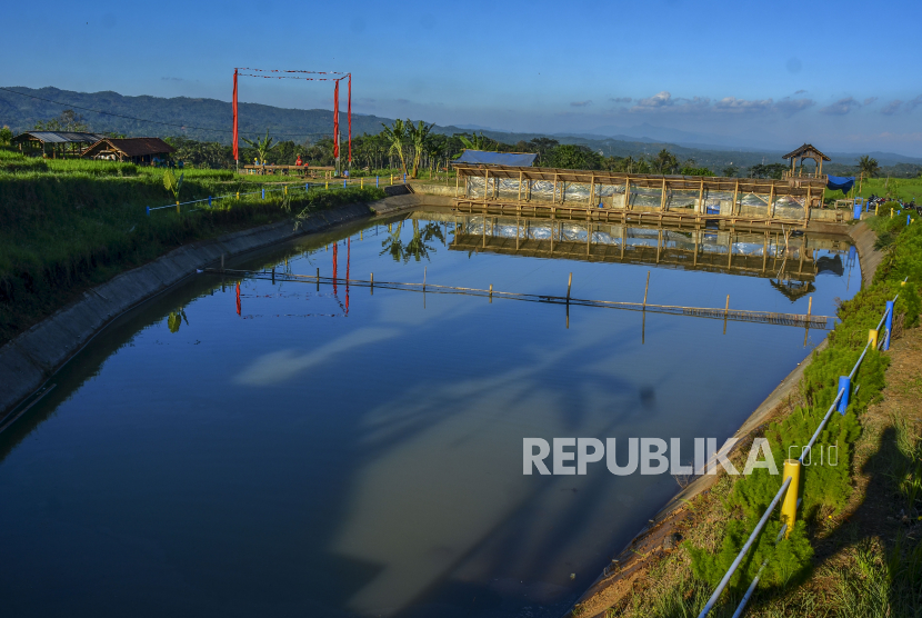 Suasana sebuah embung di Desa Sukaraharja, Kabupaten Ciamis, Jawa Barat, Jumat (21/8/2020). Pembangunan embung yang dibiayai dari dana desa tersebut untuk meningkatkan produktivitas pertanian serta membantu mengatasi kekurangan air saat musim kemarau. 
