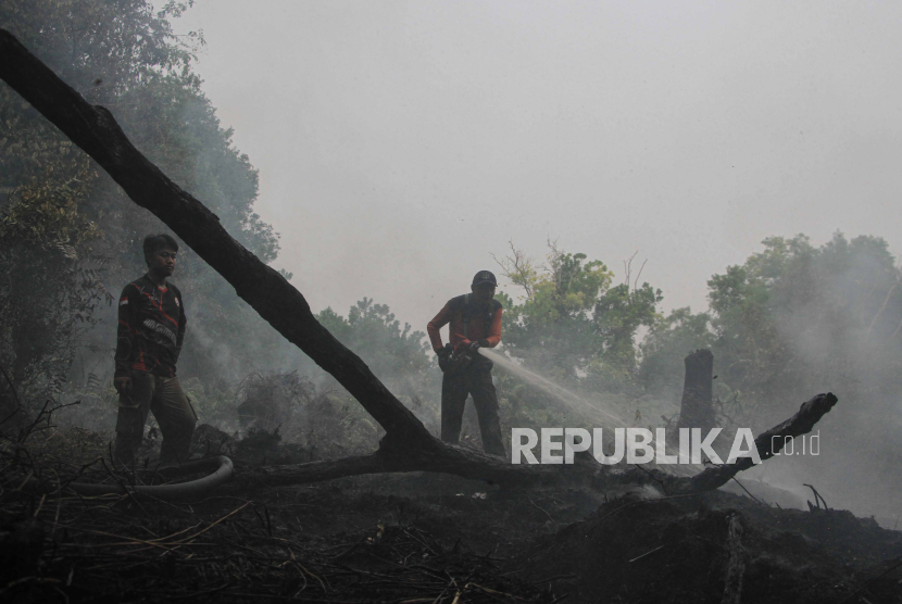 Relawan pemadam kebakaran berupaya memadamkan api yang membakar lahan (ilustrasi). Menurut pakar, perlu konsep 5R dan UNEP untuk mencegah karhutla meluas.