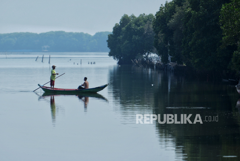 Indonesia memiliki 3,39 juta hektare hutan mangrove.