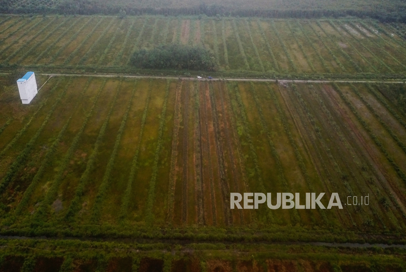 Foto udara areal petak persawahan ekstentifikasi untuk food estate di Desa Mulya Sari, Kabupaten Pulang Pisau, Kalimantan Tengah, Ahad (9/10/2022). 
