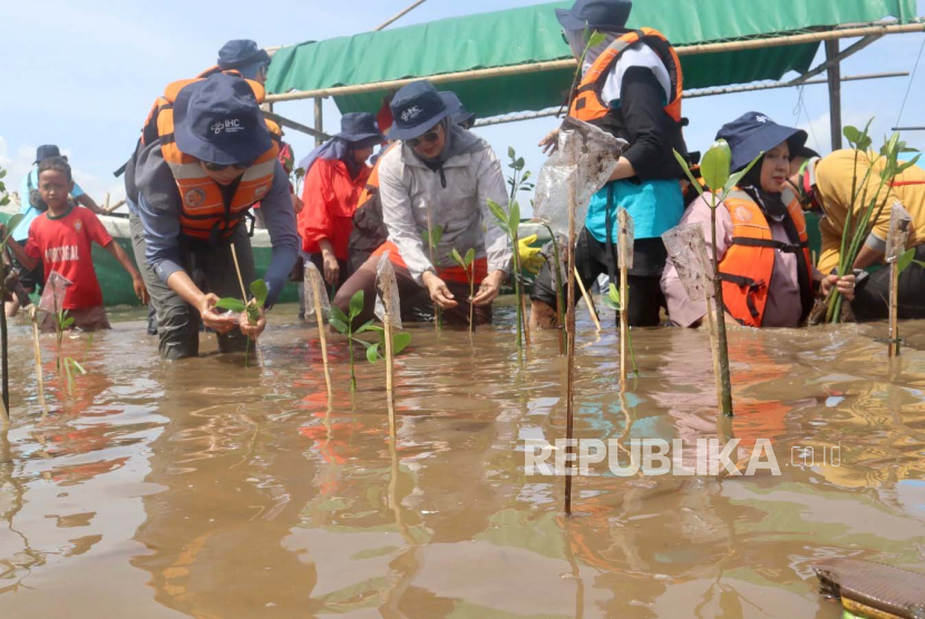 Holding RS BUMN melakukan penanaman pohon mangrove di kawasan Tanjung Burung, Teluk Naga, Pesisir Tangerang, Banten.
