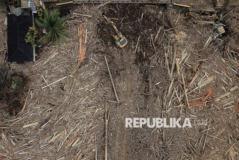 Hutan Gundul, Perkebunan Sawit dan Bencana di Sumatra