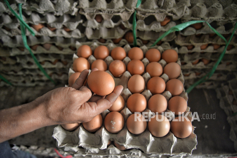 Seorang pekerja menata telur di sebuah agen telur ayam di Kawasan Cipinang, Jakarta, Senin (20/11/2023). Pantauan BPS menunjukkan harga telur ayam ras mulai mengalami kenaikan sejak pekan kedua November 2023. Secara rata-rata, harga telur ayam ras di pekan kedua November 2023 mengalami kenaikan 0,16% dibandingkan rata-rata harga pada Oktober 2023.