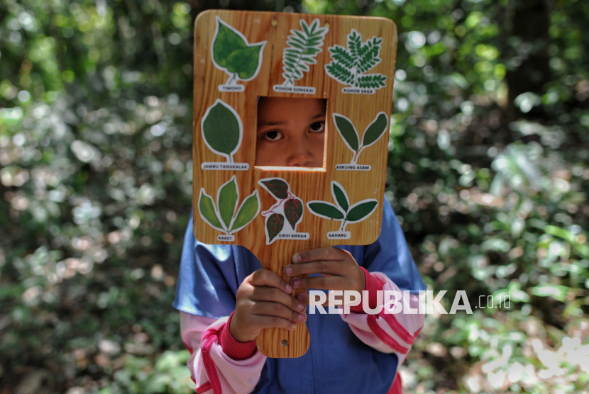 Siswa dari SDN 012 Muara Bio mengikuti pembelajaran tentang ekosistem hutan di Rumah Belajar Konservasi dan Ekowisata (RBKE) di kawasan Tanjung Belit, Kecamatan Kampar Kiri Hulu, Kabupaten Kampar, Riau, Rabu (11/12/2024). Kegiatan edukasi ekowisata tersebut dilakukaan untuk mengenalkan tentang keanekaragaman hayati sejak dini kepada warga sekitar yang ada di kawasan Suaka Margasatwa Bukit Rimbang Bukit Baling sehingga dapat mengenali dan menjaga lingkungannya. Sementara, keberadaan Rumah Belajar Konservasi dan Ekowisata (RBKE) yang didampingi Indonesian Ecotourism Network tersebut menjadi tempat pembelajaran di ruangan terbuka yang dapat dimanfaatkan warga sekitar.