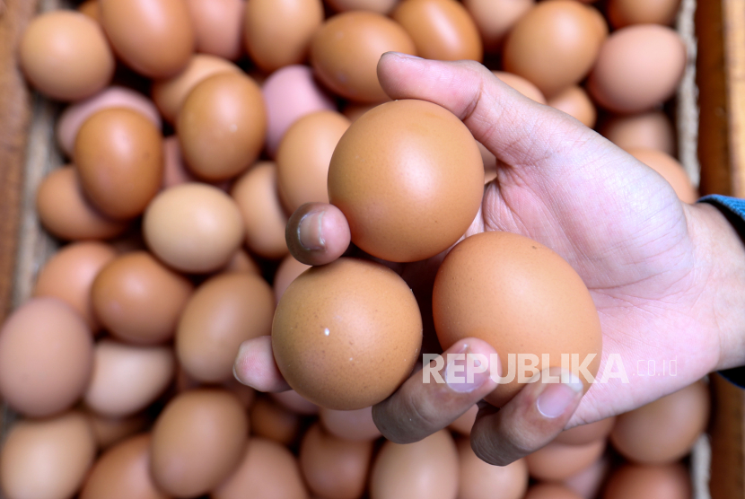 Peternak menunjukkan telur hasil panen di sentra peternakan ayam petelur di Banyuwangi, Jawa Timur, Selasa (28/5/2024). 