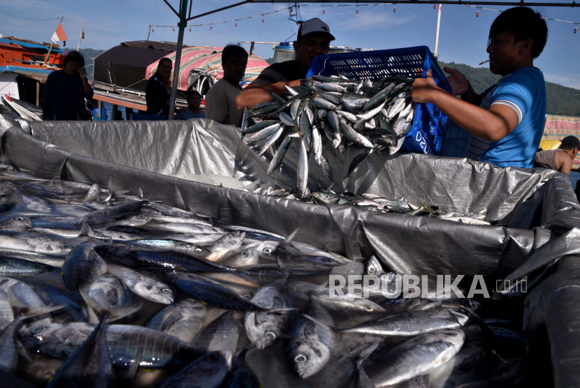 Nelayan mengangkut ikan di Tempat Pelelangan Ikan (TPI) Pelabuhan Perikanan Samudera Aertembaga, Bitung, Sulawesi Utara, Jumat (17/7/2020). Harga jual ikan di tingkat nelayan mengalami penurunan hingga Rp5 ribu per kilogram yang disebabkan oleh rendahnya daya serap bahan baku ikan dari industri pengalengan ikan yang merumahkan sebagian pekerjanya selama masa pandemi COVID-19. 