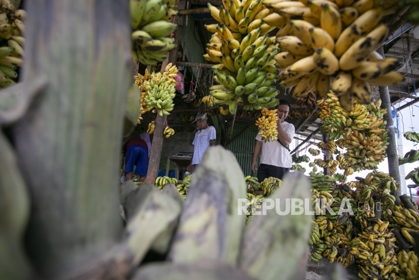 Pembeli memilih buah pisang di pasar Jatibarang, Indramayu, Jawa Barat, Kamis (23/3/2023) (ilustrasi).
