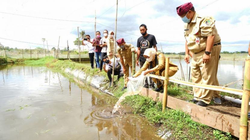 Bupati Banyuwangi Ipuk Fiestiandani saat di Kampung Koi.(Foto: Humas Pemkab Banyuwangi)