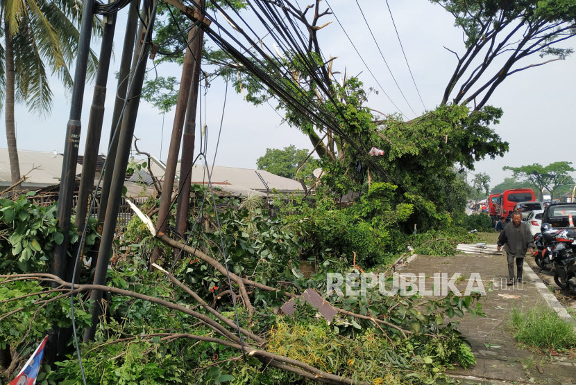 Sejumlah pohon tumbang (ilustrasi). Hujan deras yang disertai angin kencang pada Rabu (17/4/2024) sore mengakibatkan pohon tumbang di empat lokasi berbeda di Sukabumi, Jabar.