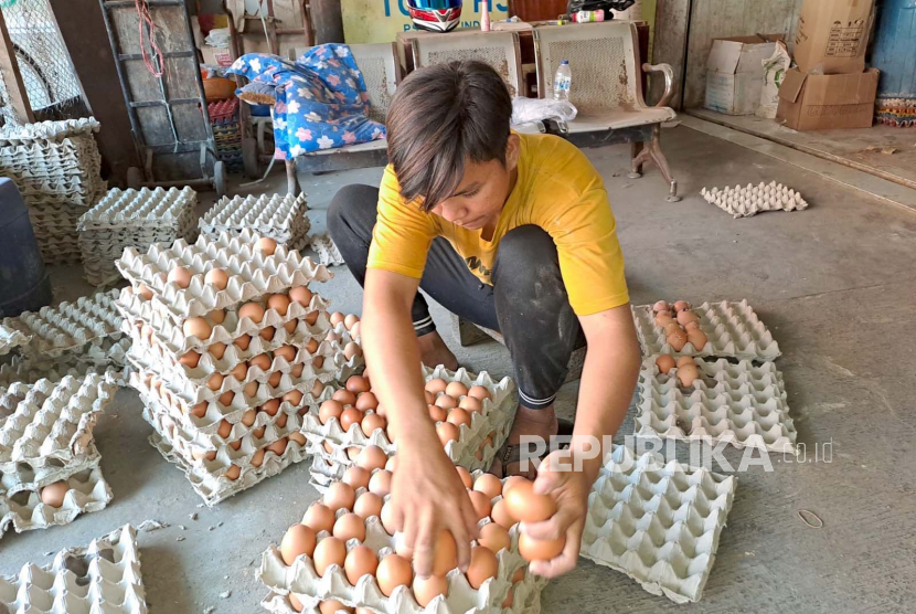 Pekerja sedang menyortir telur ayam di kios agen telur di Pasar Baru Indramayu, Kabupaten Indramayu, Jawa Barat, Rabu (24/5/2023). 