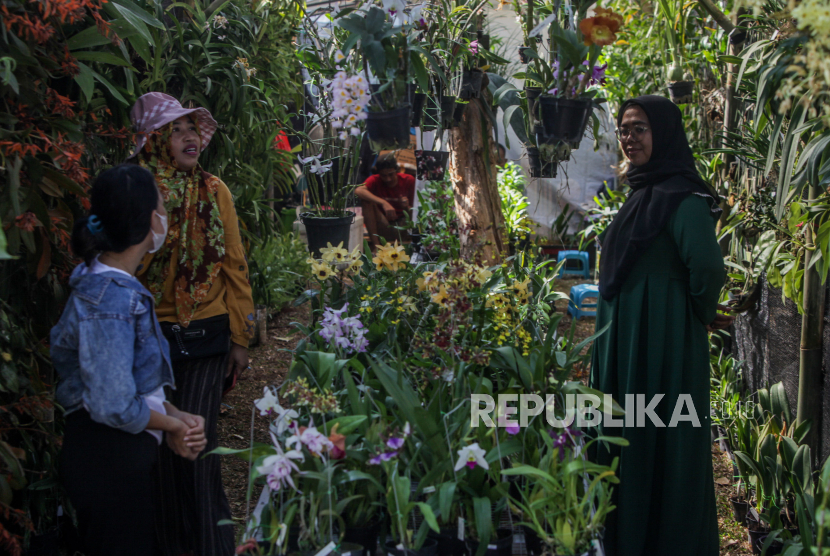 Pengunjung melihat tanaman yang dipamerkan dalam Pameran Flora dan Fauna (Flona) 2023 di Lapangan Banteng, Jakarta Pusat, Sabtu (16/9/2023) (ilustrasi)