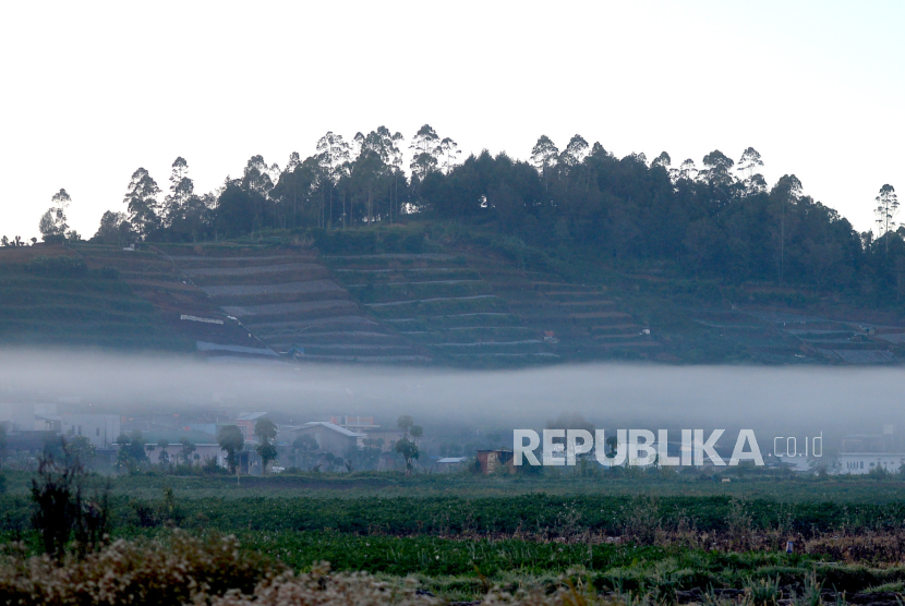 Kabut pagi masih menyelimuti kawasan Dieng, Banjarnegara, Jawa Tengah.