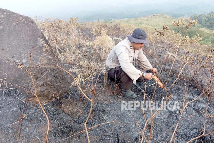 Jajaran Polres Malang melakukan olah tempat kejadian perkara (TKP) di bekas titik api wilayah Gunung Arjuno. 