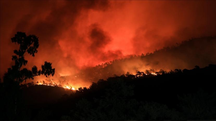 Kebakaran hutan telah menyebar ke berbagai belahan dunia. 