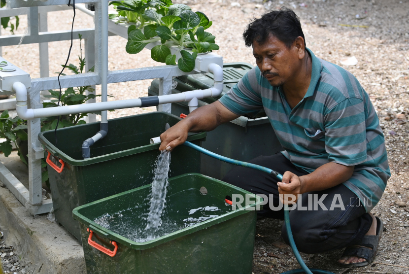  PT PLN (Persero) meningkatkan produktivitas pertanian di Kalimantan Selatan (Kalsel) melalui pemanfaatan energi listrik dengan sistem budi daya tanaman hidroponik. (ilustrasi).