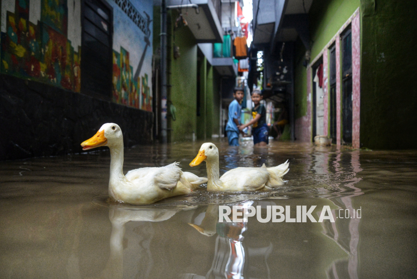 Anak-anak bermain saat banjir malanda permukiman warga di Kebon Pala, Jatinegara, Jakarta Timur, Kamis (28/11/2024). Pemprov DKI Jakarta melakukan modifikasi cuaca selama Nataru.