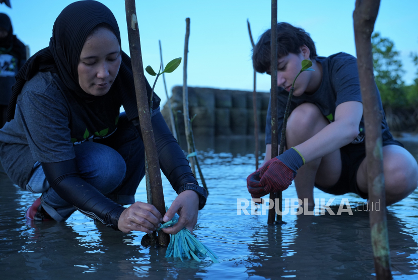 Menanam mangrove (ilustrasi). Indonesia mendorong dan mendukung setiap inisiatif untuk mengurangi degradasi lahan dan melakukan rehabilitasi ekosistem mangrove di forum G20 lewat langkah konkret seperti yang telah dilakukan di Tanah Air.