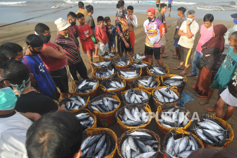 Nelayan melelang hasil tangkapannya di Tempat Pelelangan Ikan (TPI).