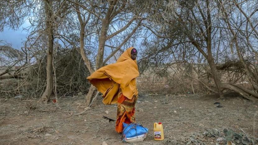 PBB mengatakan bahwa jutaan orang di Sahel, wilayah semi kering yang terbentang di Afrika barat dan utara-tengah, membutuhkan bantuan kemanusiaan