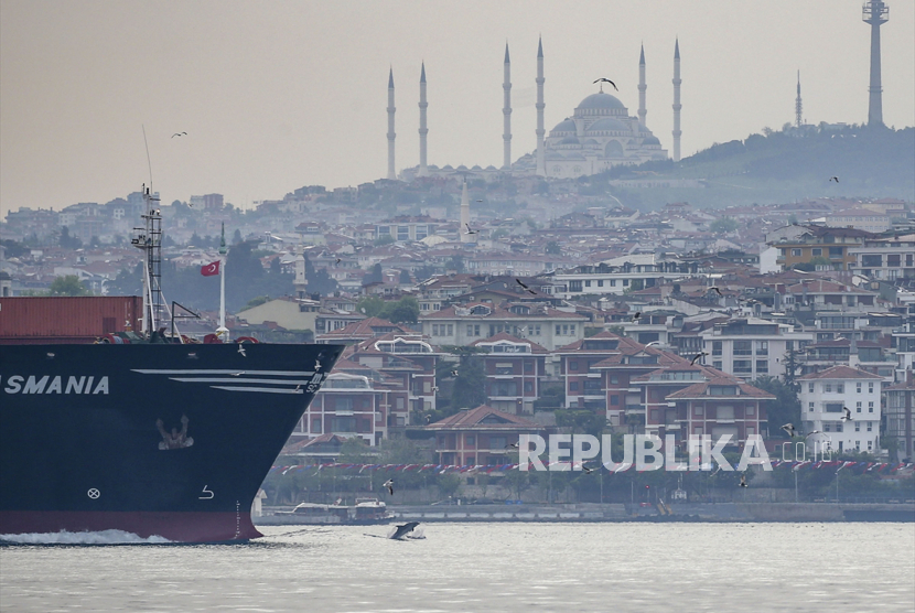 Seekor lumba-lumba terlihat di Selat Bosphorus saat musim semi di Istanbul, Turki, Senin (18/5). Sejak Pemerintah Turki memberlakukan lockdown untuk membendung penyebaran virus Corona, sekawanan lumba-lumba mulai menampakan diri berenang di perairan yang tak lagi ramai oleh lalu lintas kapal