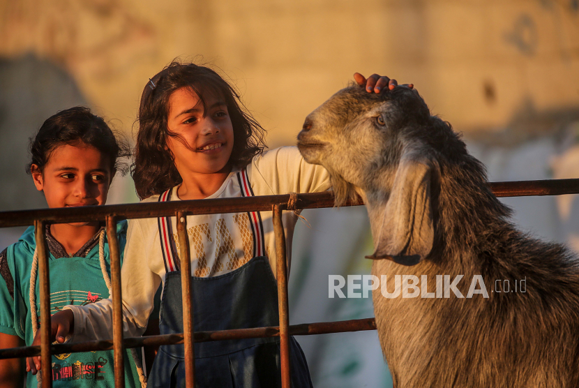 Awalnya Mengantuk, Ternyata Peluru di Otak Bocah Palestina. Gadis-gadis Palestina bermain dengan domba di pasar ternak di Jalur Gaza selatan, 25 Juli 2020. Ilustrasi