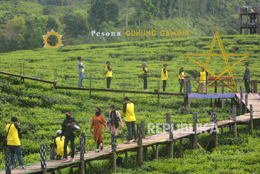 (ILUSTRASI) Wisatawan beraktivitas di kawasan wisata kebun teh Gunung Gambir, Kabupaten Jember, Jawa Timur.