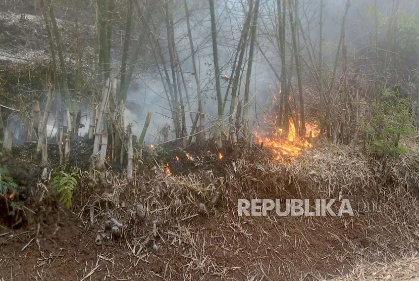 Kebakaran lahan terjadi di perbukitan kawasan Desa Sadu, Kecamatan Soreang, Kabupaten Bandung, Jawa Barat, Jumat (29/9/2023). 