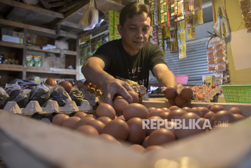 Pedagang telur ayam beraktivitas di kiosnya di Pasar Kosambi, Bandung, Jawa Barat, Selasa (19/12/2023). Harga sejumlah bahan pokok menjelang Natal dan Tahun Baru 2024 (Nataru) di pasar tersebut masih stabil dan stok bahan pangan mencukupi hingga akhir tahun. Saat ini harga daging ayam mencapai Rp38 ribu per kilogram, Cabai Rp100 ribu per kilogram, Beras Rp12 ribu hingga Rp15 ribu per kilogram dan telur ayam Rp28 ribu per kilogram.