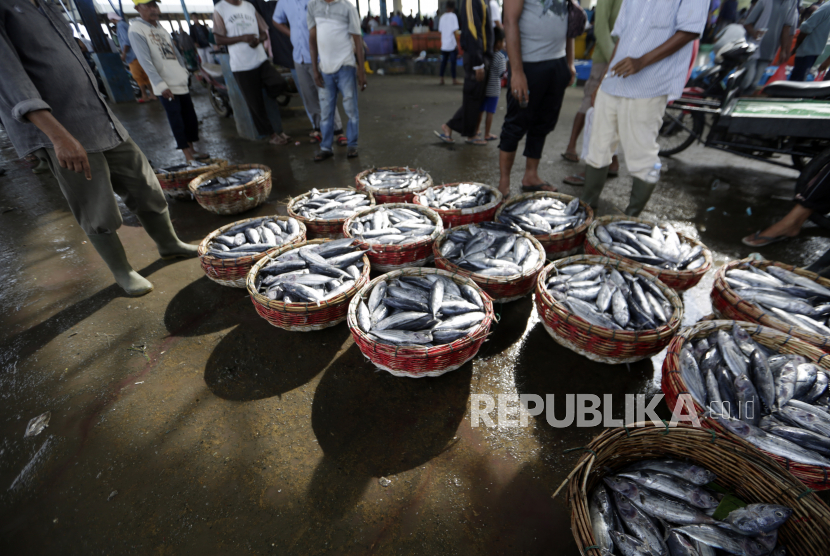  Nelayan memajang hasil tangkapannya untuk dijual di Pelabuhan Ikan Tradisional Lampulo, Banda Aceh, Aceh, Indonesia, 06 Januari 2021. Kementerian Kelautan dan Perikanan (KKP) mendorong seluruh cold storage atau gudang beku ikan di Indonesia menjalankan Sistem Resi Gudang (SRG).