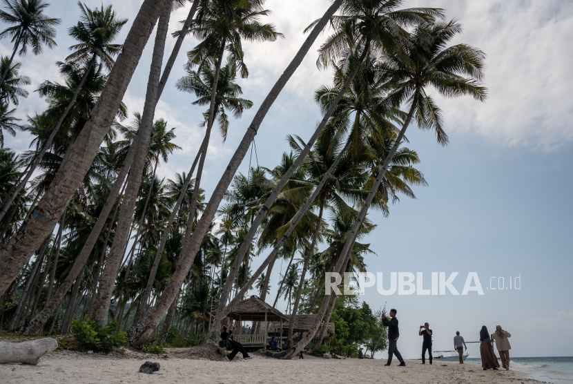 Pemerintah Siapkan 10 Ribu Hektare untuk Hilirisasi Kelapa di Maluku Utara