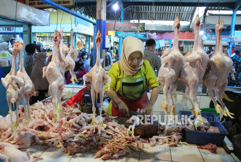 Pedagang memotong-motong daging ayam untuk pelanggan, di Pasar Cihapit, Kota Bandung, Rabu (12/7/2023). Hingga saat ini harga daging ayam di Kota Bandung masih belum menyentuh kondisi normal, Rp 48 ribu dari Rp39 ribu per kilogram. Kondisi tersebut disebabkan menipisnya stok daging ayam dan masih tingginya harga pakan.