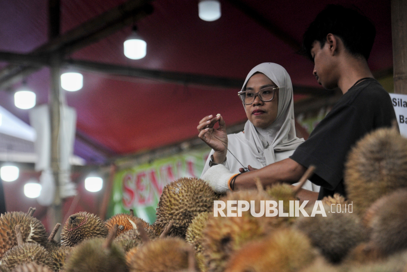 Calon pembeli memilah buah durian di lapak dagangan durian Palembang di kawasan Warung Buncit, Jakarta, Ahad (2/1/2025). Durian lokal tersebut didatang dari Palembang saat musim panen untuk di pasarkan di beberapa daerah seperti Jawa, Lampung hingga Jakarta. Harga durian dibanderol mulai dari Rp25 ribu hingga Rp150 ribu tergantung ukuran dan kualitas buah durian. Dalam sehari, Andi (51) pemilik lapak durian, dapat menjual sebanyak 1.000 hingga 1.500 juta perhari dengan omset harian mencapai Rp30 juta. Durian tersebut dipasok langsung dari Palembang, Sumatera Selatan dalam sehari 3 truk. Andi menuturkan, Jakarta menjadi salah satu daerah dengan peminat buah durian yang paling tinggi.