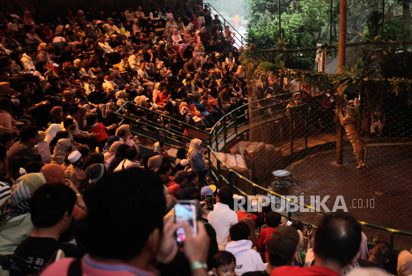 Sejumlah pengunjung menonton atraksi di Taman Safari Indonesia (TSI) Bogor, Jawa Barat. Taman Safari menyiapkan beragam aktivitas menarik menyambut libur Natal dan Tahun Baru 2025.