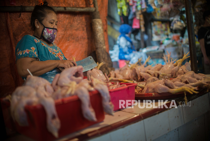 Pedagang ayam beraktivitas di lapak dagangannya. ilustrasi