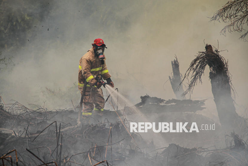 Petugas pemadam berupaya memadamkan kebakaran lahan di Kelurahan Panarung, Palangka Raya, Kalimantan Tengah, Rabu (26/8/2026). Badan Penanggulangan Bencana dan Pemadam Kebakaran (BPBPK) Kalimantan Tengah mencatat luas kebakaran hutan dan lahan (karhutla) di Kalteng mencapai 5.186,51 hektare dari 1.837 kejadian sejak 1 Januari hingga 25 Agustus 2026. 
