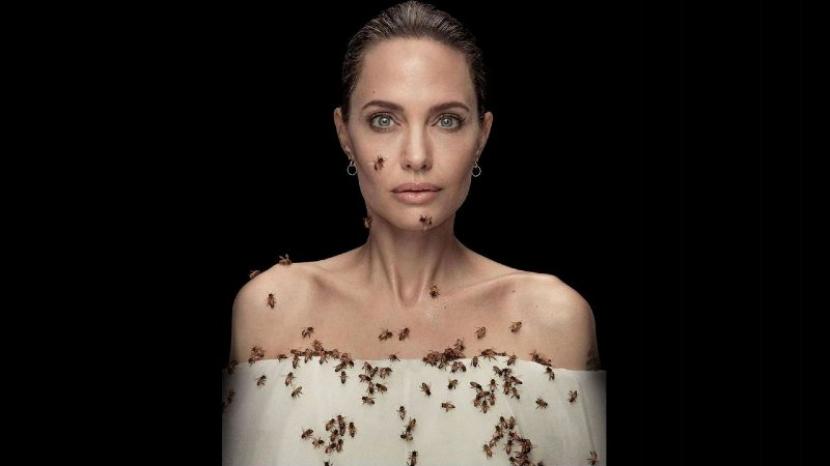 Angelina Jolie berfoto dengan lebah yang terancam punah.