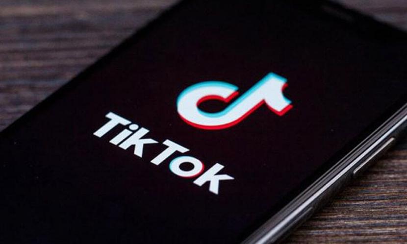 Snaptik: Download TikTok Video No Watermark